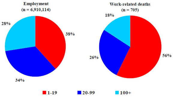 7a. Distribution of construction employment and work-related deaths from injuries, by establishment size, 2003-2008 average