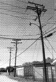 Photo of Overhead distribution lines