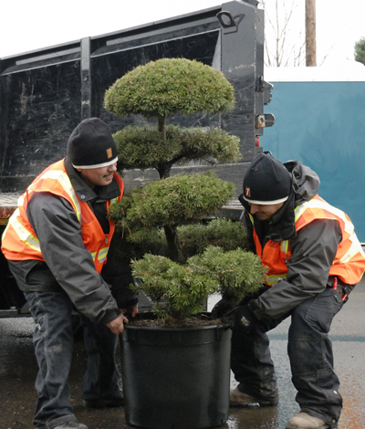 landscape service workers working