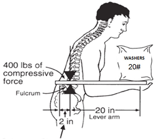 BIOMECHANICS OF LIFTING