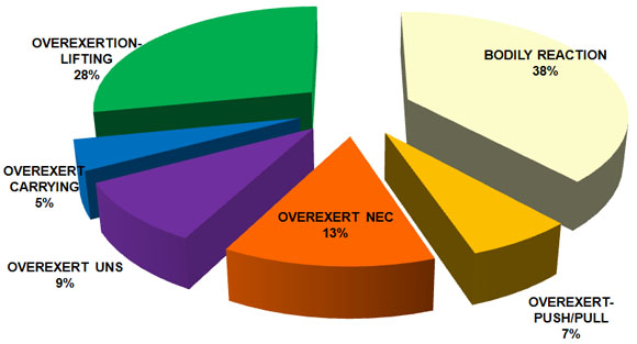 IRONWORKERS ERGONOMIC INJURIES 2006 -2008