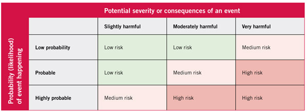 Activity 4 STEP 4: Risk Matrix