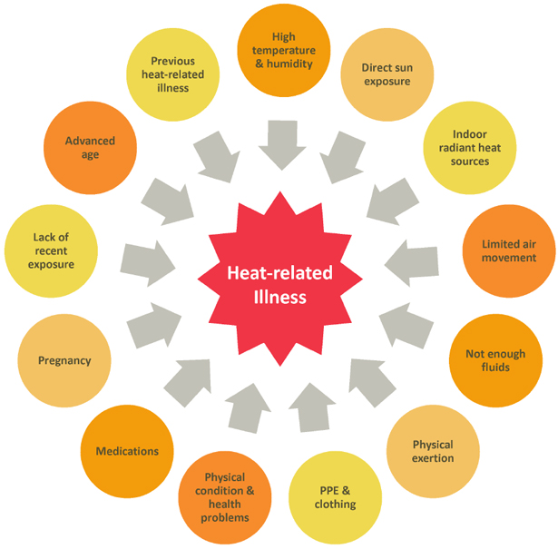 Graphic- heat related illness factors: Fig 4-1