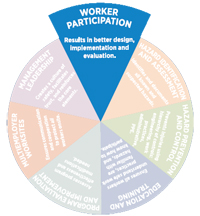 Worker participation pie slice graphic