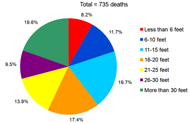 pie chart